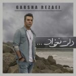آهنگ گرشا رضایی دلت نخواد آهنگ گرشا رضایی دلت نخواد