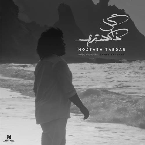 آهنگ مجتبی تابدار گل خاکستری