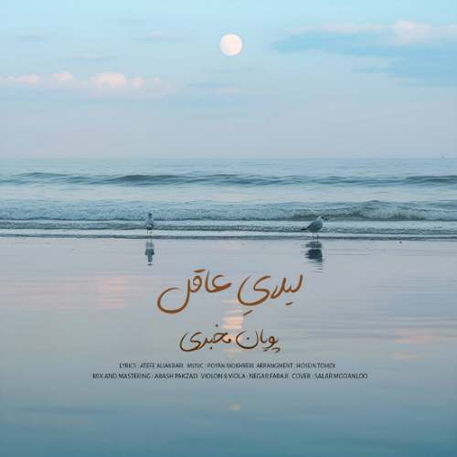 آهنگ پویان مخبری لیلایِ عاقل