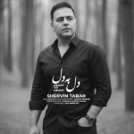 آهنگ شروین تبار دل به دل