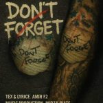 آهنگ امیر F2 دونت فورگت