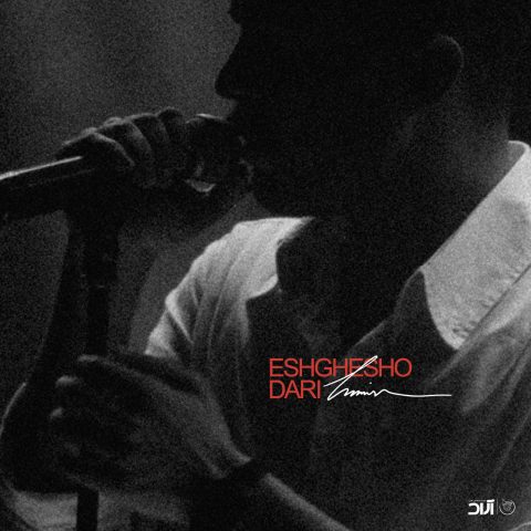 آهنگ حامیم عشقشو داری