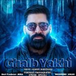 آهنگ محمد جوکار قلب یخی