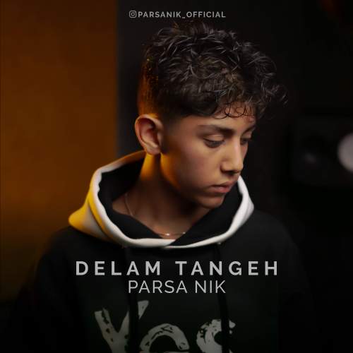 آهنگ پارسا نیک دلم تنگه