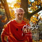 آهنگ پیوند تا زنده ام