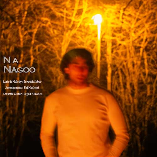 آهنگ سروش صابر نه نگو