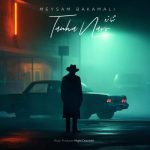 آهنگ میثم باکمالی تنها نرو