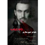 آهنگ امین سالاری یاور زینب