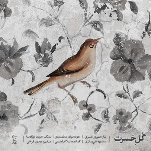 آهنگ محمد عدنانی گلِ حسرت