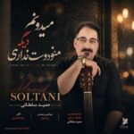 آهنگ حمید سلطانی میدونم دیگه منو دوست نداری