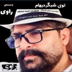 آهنگ راوی توی شبگردیام