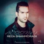 آهنگ رضا شاه مرادی آلونک
