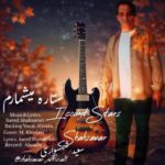 آهنگ سعید شهسواری ستاره میشمارم (شهسوار)