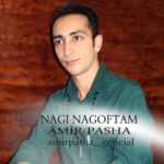 آهنگ امیر پاشا نگی نگفتم