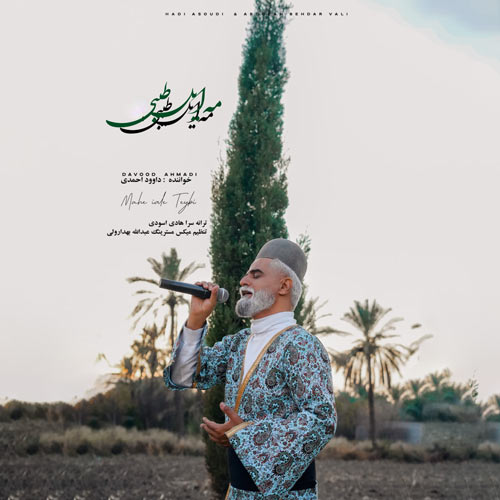 آهنگ داوود احمدی مه ایل طیبی