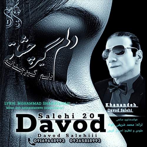 آهنگ داوود صالحی دلم گیر چشاته