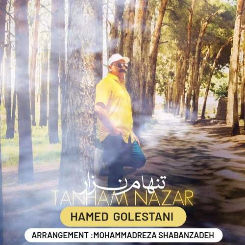 آهنگ حامد گلستانی تنهام نزار