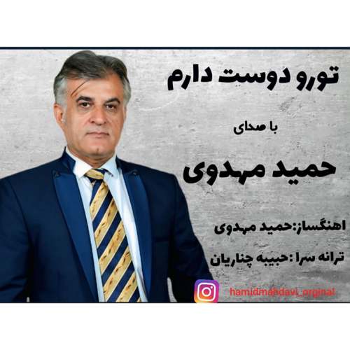 آهنگ حمید مهدوی تورو دوست دارم