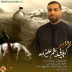 آهنگ میثم علیزاده لالایی