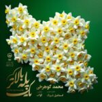آهنگ محمد کوهرخی یک پله بالاتر