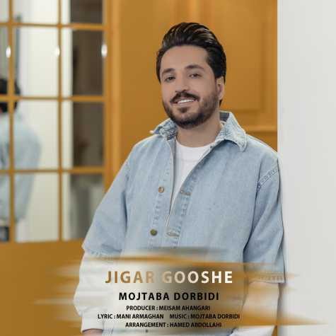 آهنگ مجتبی دربیدی جیگر گوشه
