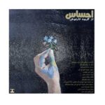 آهنگ گروه تارنوش احساس