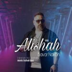 آهنگ علی شاه باور نکن
