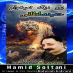 آهنگ حمید سلطانی برو دیگه نمیخوام (دیجی فرزام صفری ریمیکس)