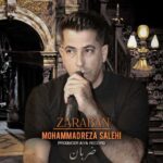 آهنگ محمدرضا صالحی ضربان